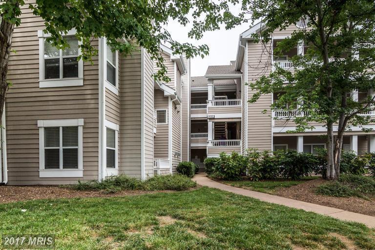14322 Climbing Rose Way in Centreville, VA - Building Photo