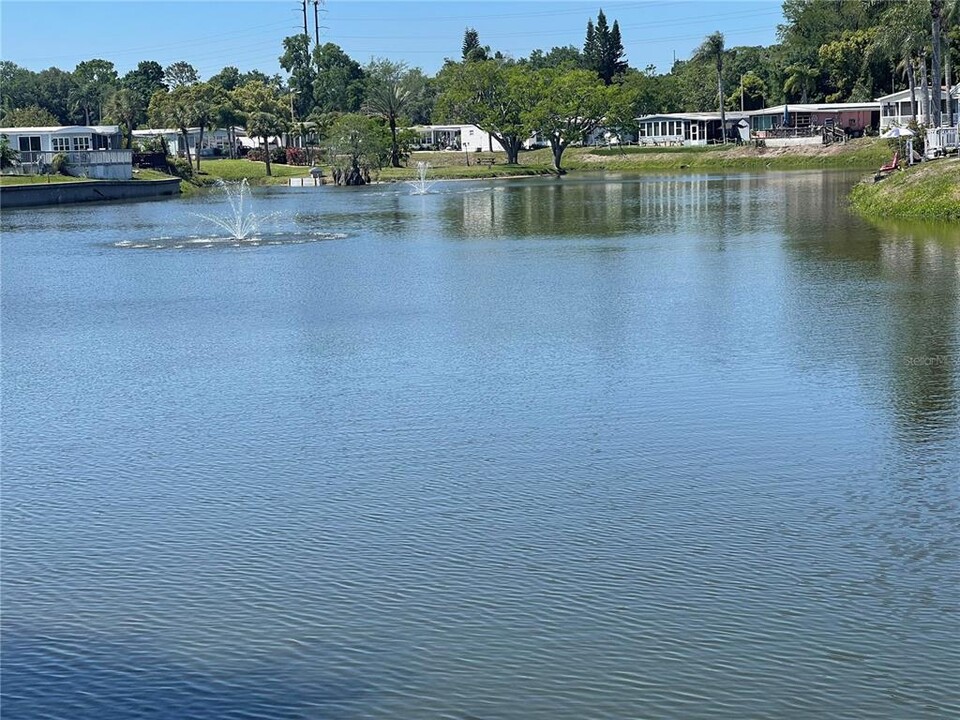 39248 US Hwy 19 N in Tarpon Springs, FL - Building Photo