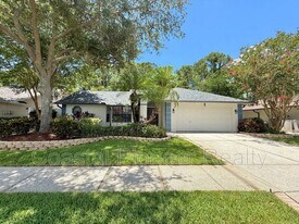 11732 Spanish Lake Dr in Tampa, FL - Building Photo