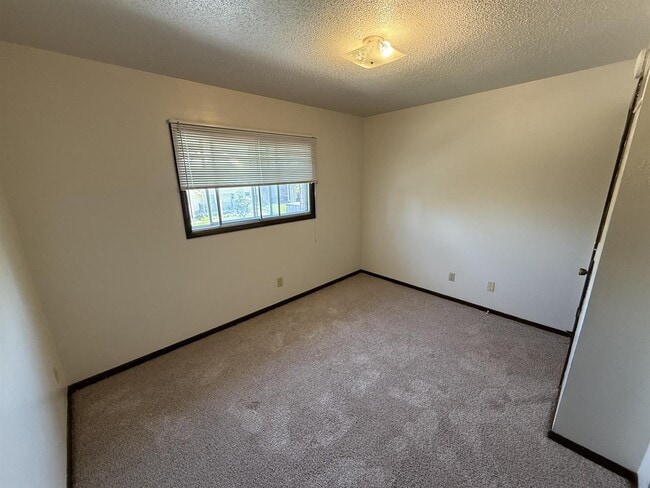 419 S Johnson St in Iowa City, IA - Building Photo - Building Photo