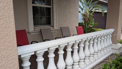 13152 Green Violet Dr in Riverview, FL - Building Photo - Building Photo