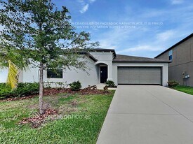 1496 Flower Dust Dr in Ruskin, FL - Building Photo