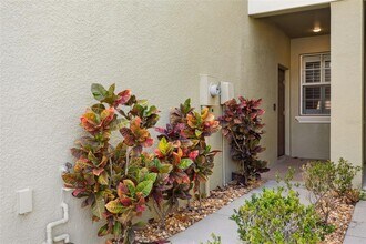 9568 Trumpet Vine Loop in Trinity, FL - Building Photo - Building Photo