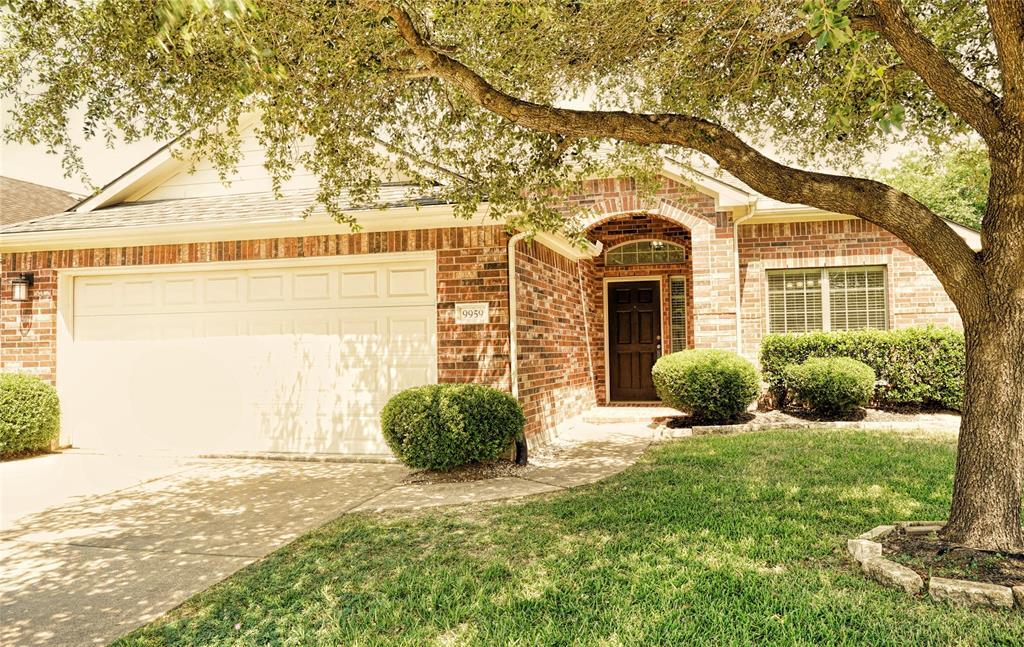 9959 Driftwood Park Dr in Houston, TX - Foto de edificio