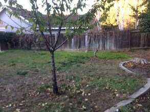 2320 Grouse Crossing Way in Modesto, CA - Building Photo - Building Photo