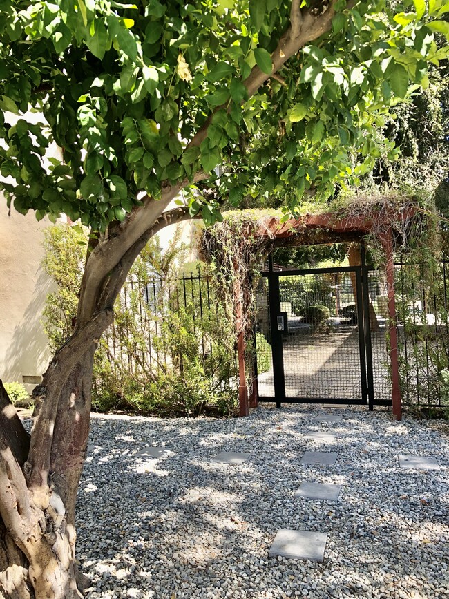 4319 Cahuenga Blvd, Unit 4317