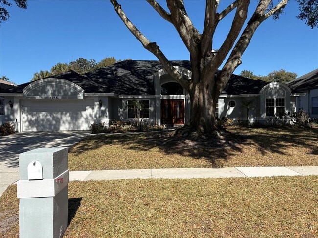 8045 Landgrove Ct in Orlando, FL - Building Photo - Building Photo
