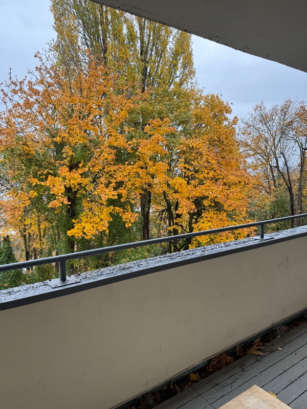 property at 4640 22nd Ave NE