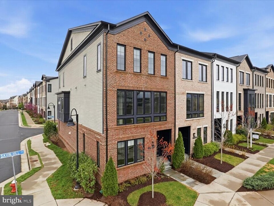 20305 Savin Hill Dr in Ashburn, VA - Building Photo