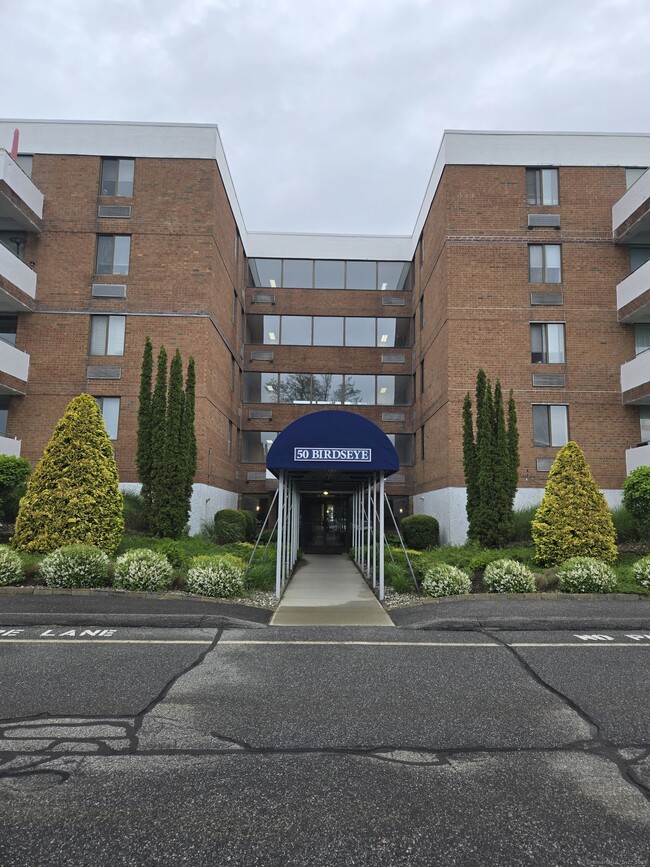property at 50 Birdseye St