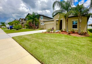 11422 Alachua Creek Ln in Riverview, FL - Building Photo - Building Photo