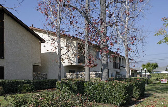 251 N Elderberry Ave in Ontario, CA - Building Photo - Building Photo