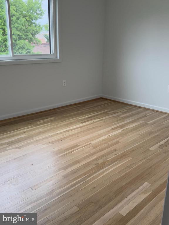 11508 Bucknell Dr in Silver Spring, MD - Building Photo - Building Photo