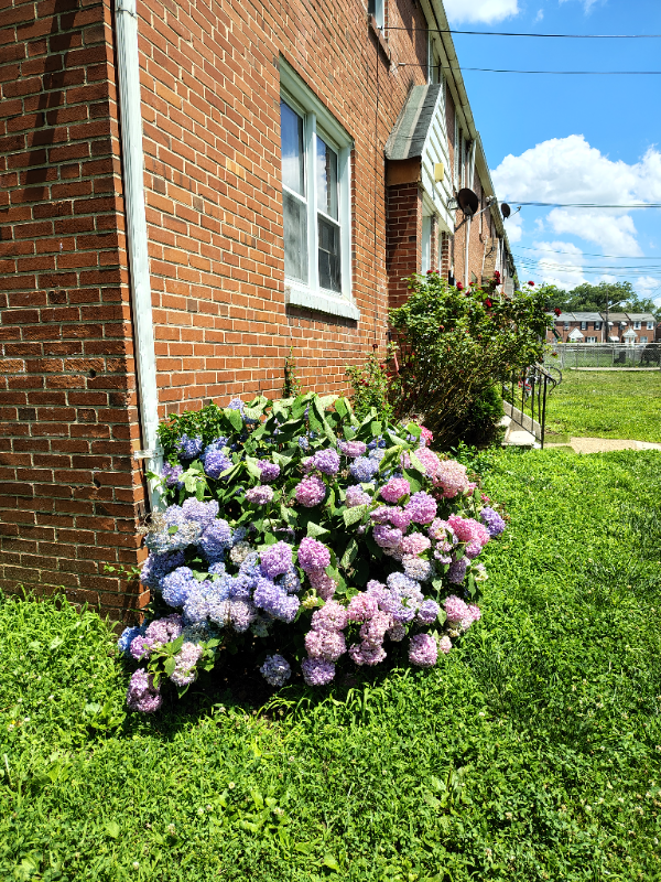 property at 2135 Seneca Rd