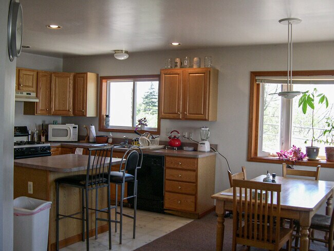 1552 Jones Dr in Ann Arbor, MI - Building Photo - Building Photo