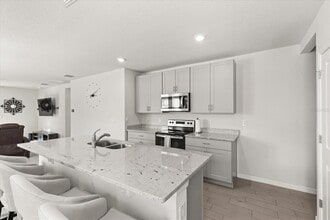 34680 Telluride Ln in Zephyrhills, FL - Building Photo - Building Photo