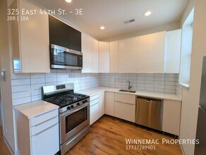 325 E 44th St in Chicago, IL - Building Photo - Building Photo