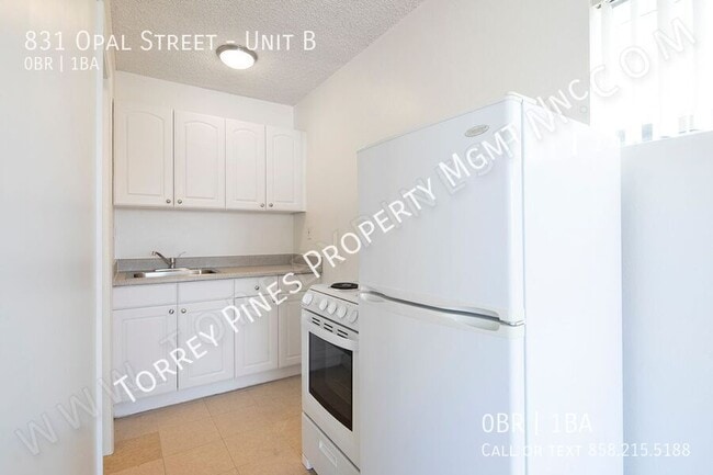 831 Opal St in San Diego, CA - Building Photo - Building Photo