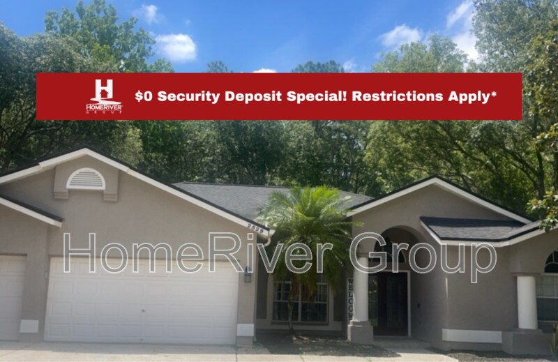 2529 Appaloosa Trail in Palm Harbor, FL - Building Photo