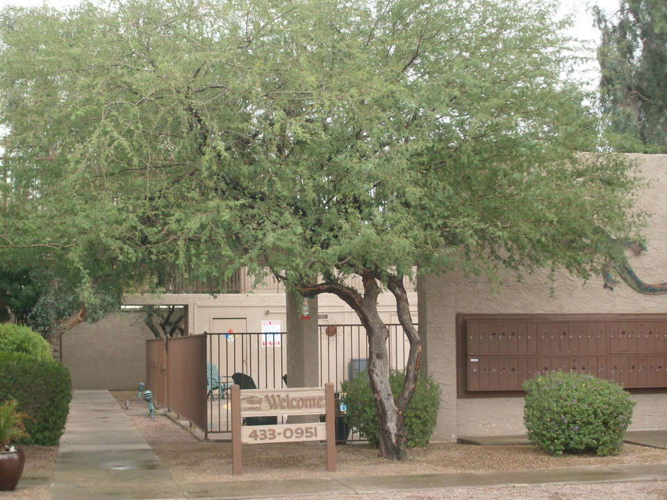 Missouri Meadows Apartments in Phoenix, AZ - Building Photo