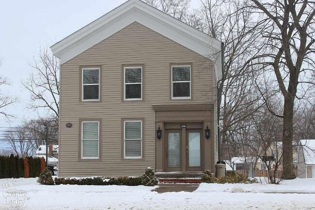 219 S Main St in Romeo, MI - Building Photo - Building Photo
