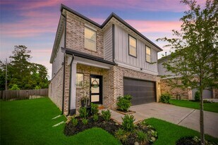 8646 Blueberry Ash St in Magnolia, TX - Building Photo