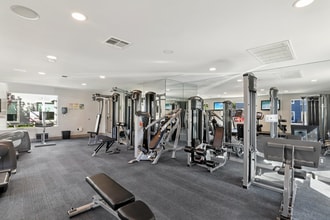 Camino Al Norte Townhomes in North Las Vegas, NV - Building Photo - Building Photo