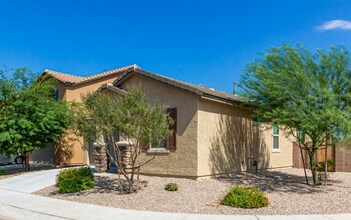 11522 W Oilseed Dr in Marana, AZ - Building Photo - Building Photo