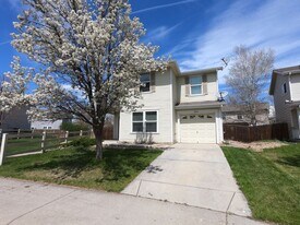 10673 Durango Pl in Longmont, CO - Building Photo