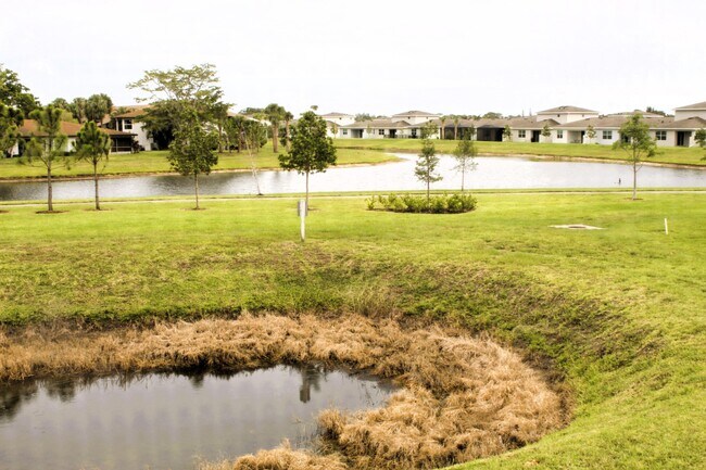property at 13283 Pineapple Palm Ct