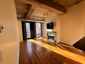1069 W 14th Pl in Chicago, IL - Building Photo - Building Photo