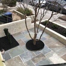 2118 10th St NW in Washington, DC - Building Photo - Building Photo