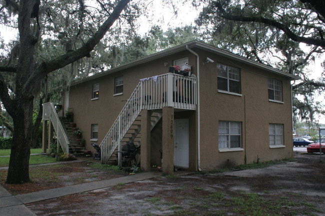 Palm Tree Apartments in Tampa, FL - Building Photo - Building Photo