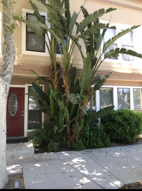 37 E 6th St in Tracy, CA - Building Photo - Building Photo