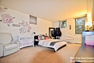51 Winchester St, Unit #206 in Brookline, MA - Building Photo - Building Photo