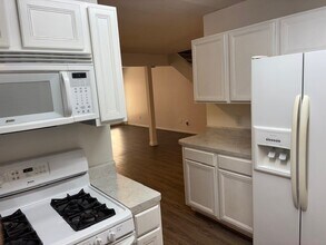 1323 Reddleshire Ln in Houston, TX - Building Photo - Building Photo