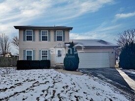 4710 Peacock Ln in Plainfield, IL - Building Photo