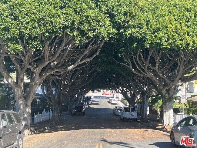 721 Cedar St in Santa Monica, CA - Building Photo - Building Photo