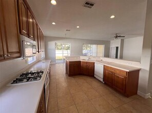20213 Moss Hill Way in Tampa, FL - Building Photo - Building Photo