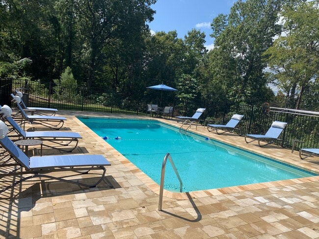 The View - Alabaster photo'