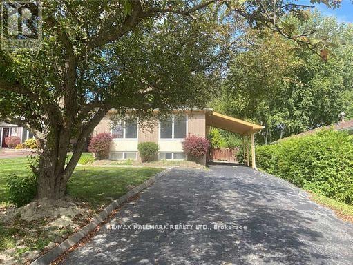 331 Roywood Crescent in Newmarket, ON - Building Photo - Building Photo