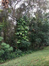 1334 Augusta National Blvd in Winter Springs, FL - Building Photo - Building Photo