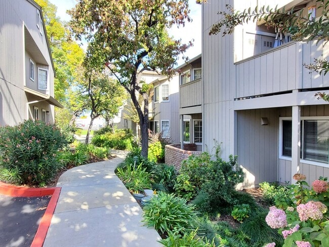 property at 3491 Wine Barrel Way
