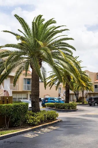 8675 NW 5th Terrace in Miami, FL - Foto de edificio - Building Photo