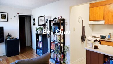 77 Trowbridge St in Cambridge, MA - Building Photo - Building Photo