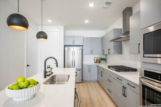 719 E Locust St in San Antonio, TX - Building Photo - Building Photo