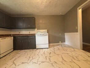 827 E Dale St in Springfield, MO - Building Photo - Building Photo