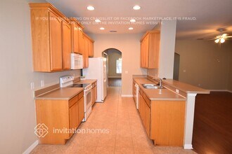11703 Summer Springs Dr in Riverview, FL - Building Photo - Building Photo