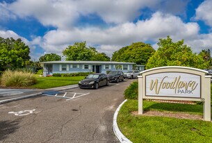 Woodlawn Park Apartments in St. Petersburg, FL - Building Photo