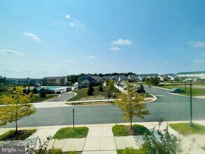 419 Foxglove Way in Stafford, VA - Building Photo - Building Photo